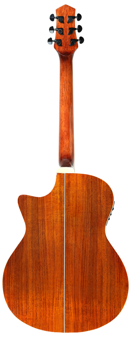 AH-TC102A back view
