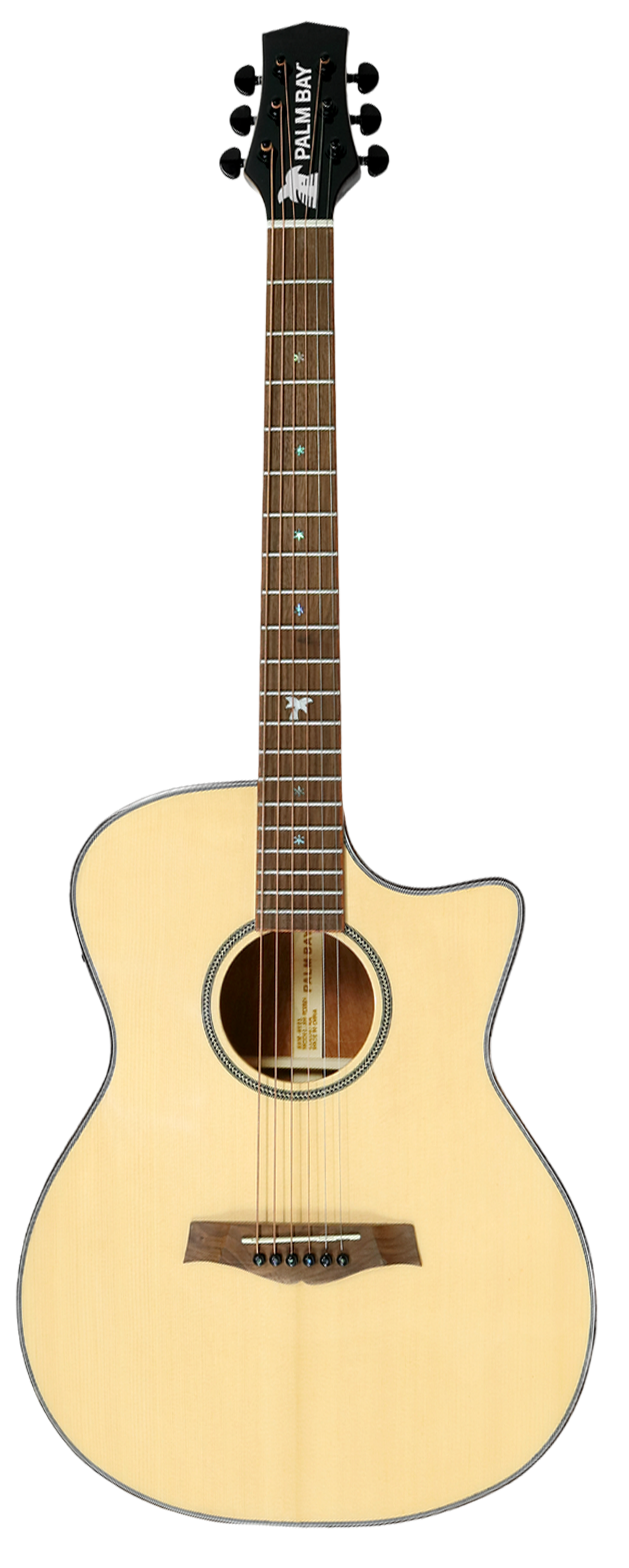 AH-TC102C / AH-TC102A front