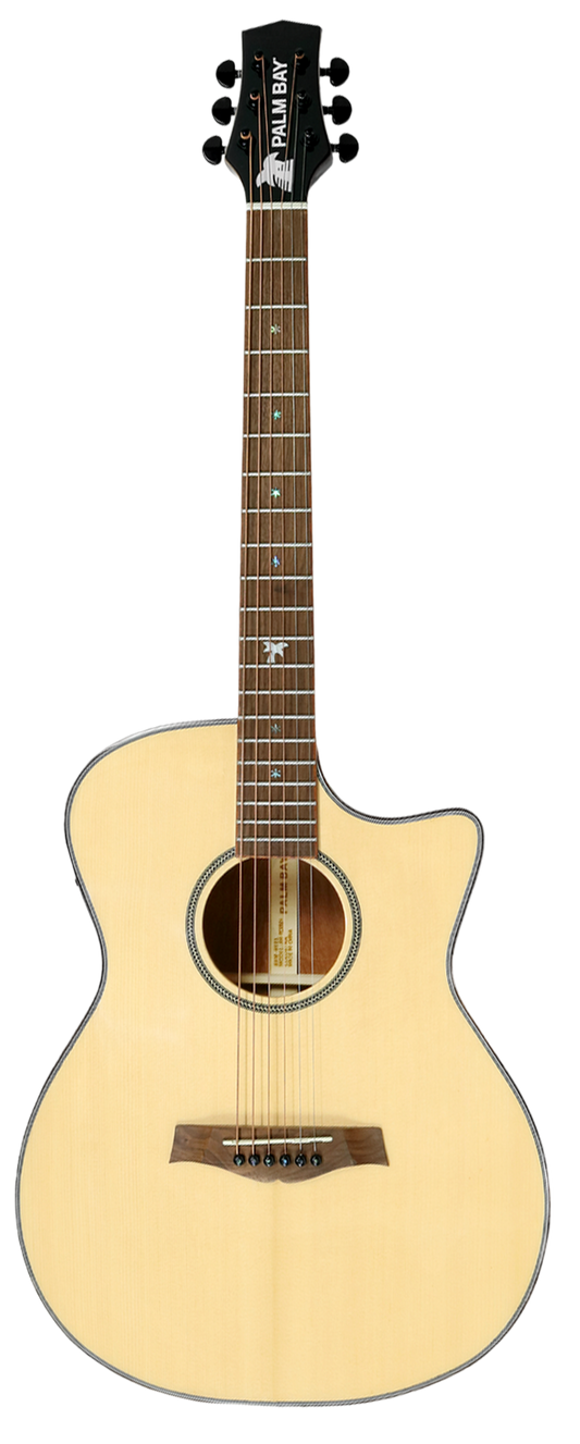 AH-TC102A front view