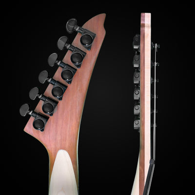 Tempest headstock, back and side (generic)